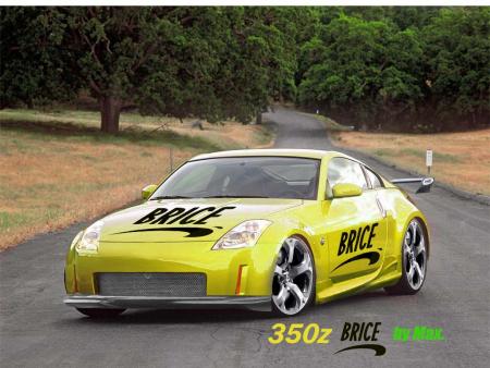 voiture version brice de nice